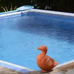 Mit Schwimmbad Nur Fuer Erwachsene By Interhome
