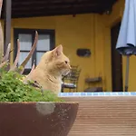 Mit Schwimmbad Nur Fuer Erwachsene By Interhome Ferienhaus *