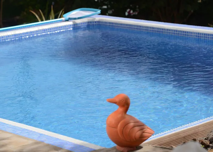 Mit Schwimmbad Nur Fuer Erwachsene By Interhome