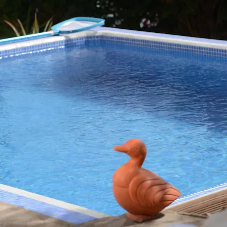 Mit Schwimmbad Nur Fuer Erwachsene By Interhome