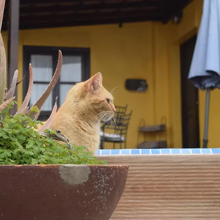 Mit Schwimmbad Nur Fuer Erwachsene By Interhome Holiday home *