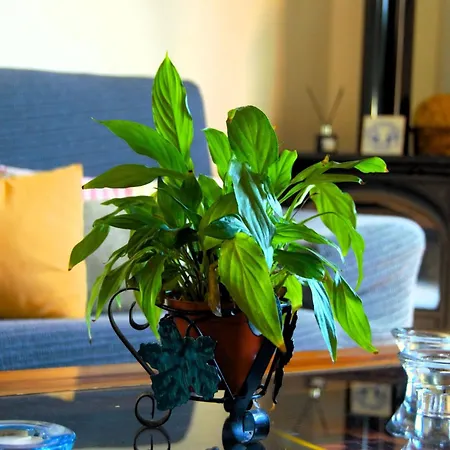 Holiday home Mit Schwimmbad Nur Fuer Erwachsene By Interhome El Rosario (Tenerife)